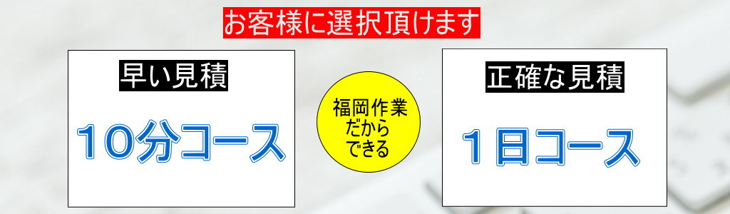 2つの選べるコース。早い見積10分コース。正確な見積1日コース