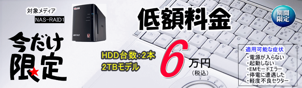 期間限定、RAID1のデータ復旧が6万円