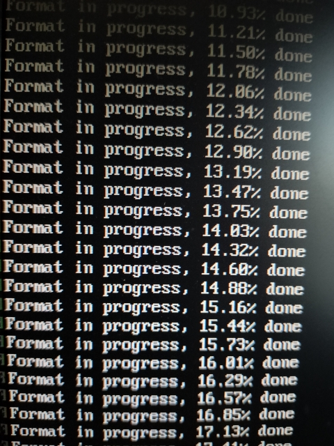 物理フォーマット中