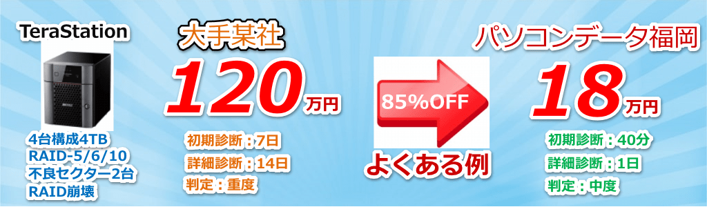 RAID大手の85%OFF、よくある例（120万円が18万円）